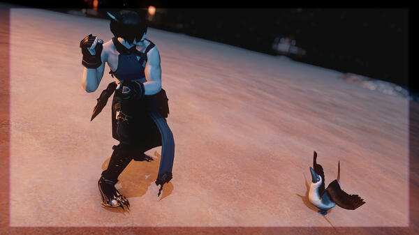 dancing with the booby dancing with the booby